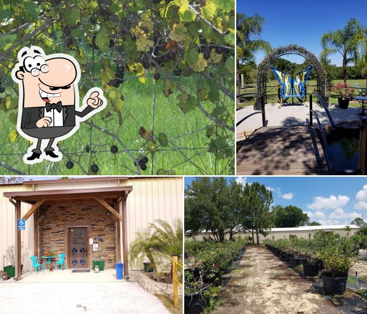 True Blue Winery in Davenport Restaurant reviews