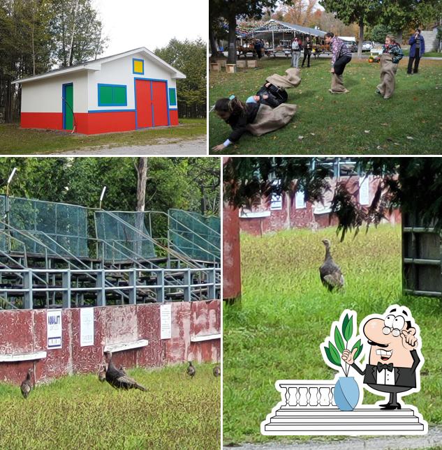 Jetez un coup d’œil à quoi ressemble Madeira Park à l'extérieur