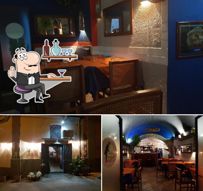 Ristorante Pizzeria Blue Parrot.mm