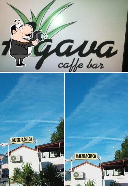 Ecco un'immagine di Agava caffe bar