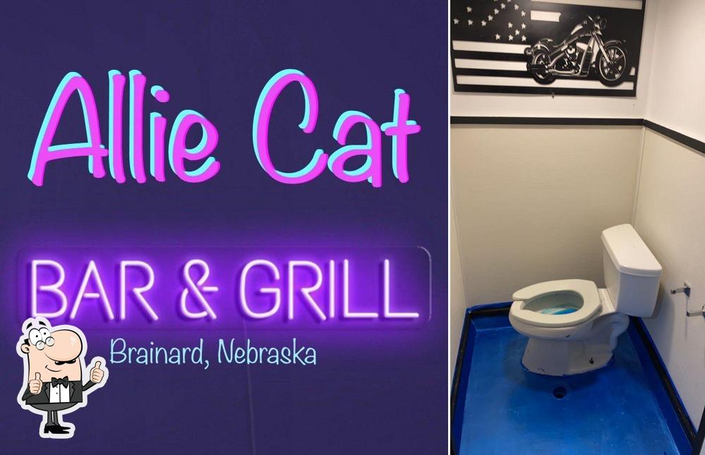 Allie Cat Bar & Grill in Brainard Restaurant reviews