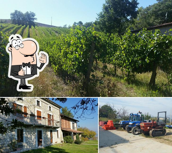 Ecco una foto di Cascina i Carpini