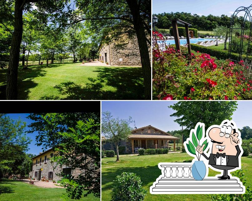 Agriturismo Buonasera