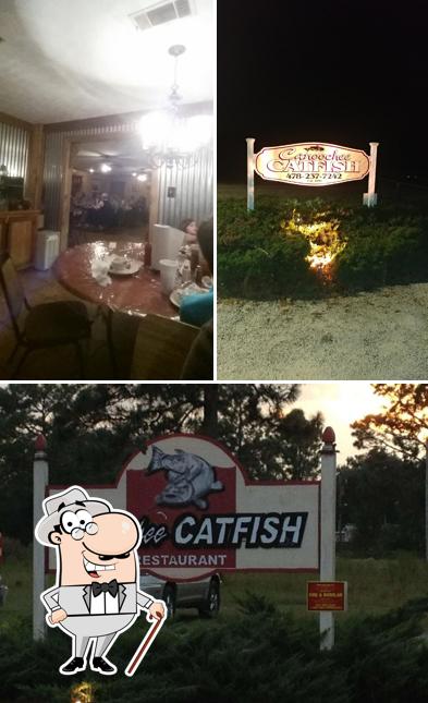Canoochee Catfish in Canoochee Seafood restaurant menu and reviews