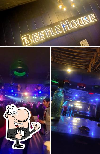 See the pic of Beetle house
