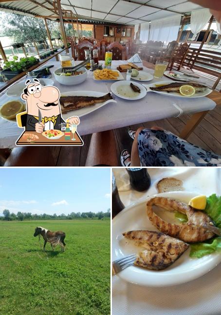 DUCK Restorant