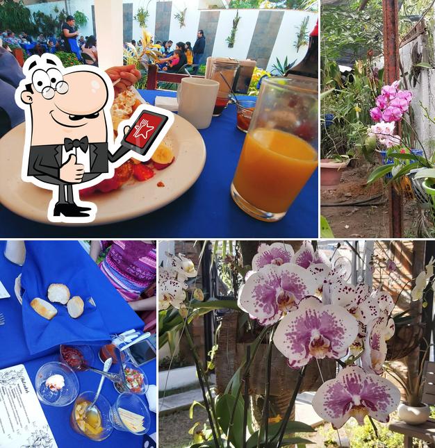 La casa de las orquideas restaurant, Ixtapa - Restaurant reviews