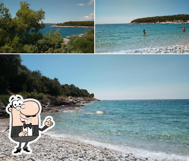 Guarda gli esterni di Surf Bar Premantura