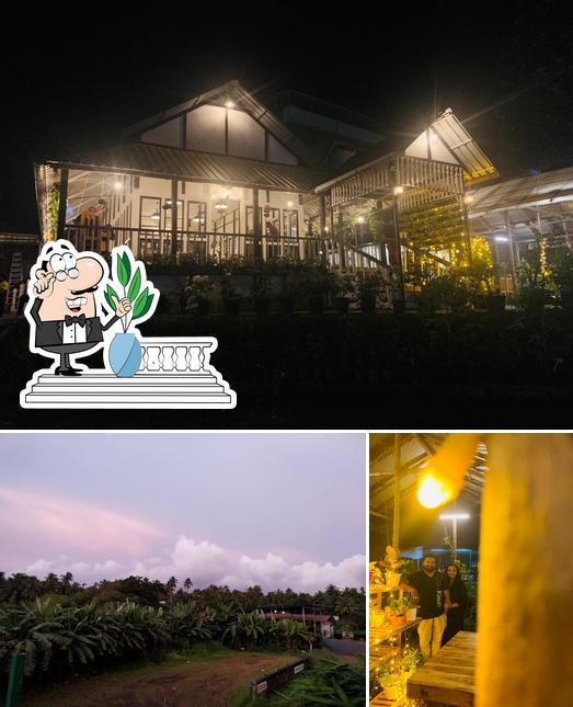 COASTA GRILLS, India, 2/67 NH 544 Restaurant reviews