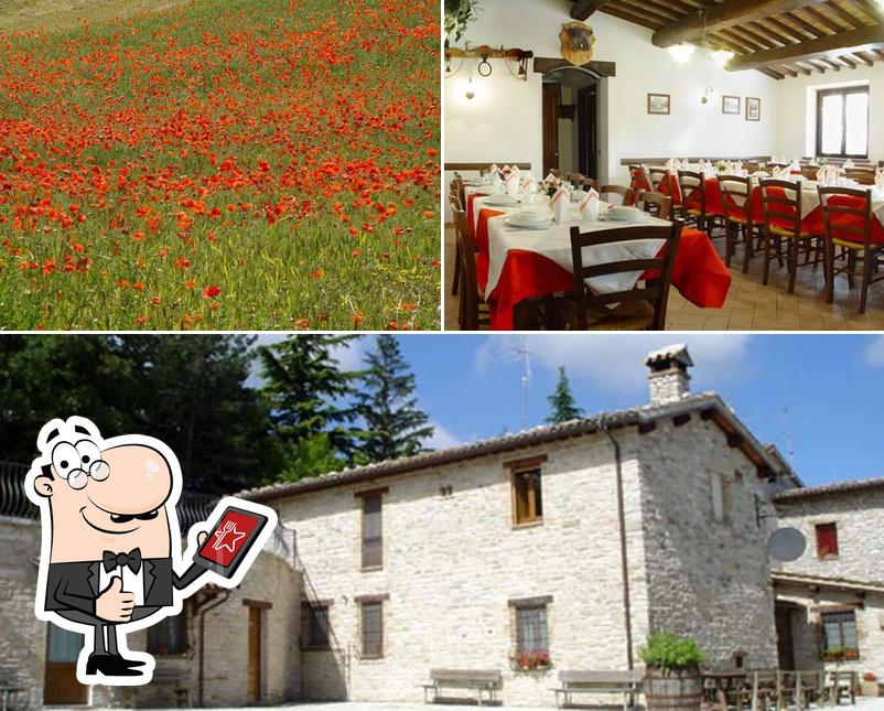 Взгляните на изображение ресторана "Agriturismo Degli Alti Pascoli"