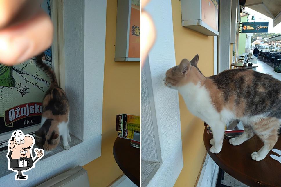 Dai un'occhiata agli interni di Caffe Bar Ribili