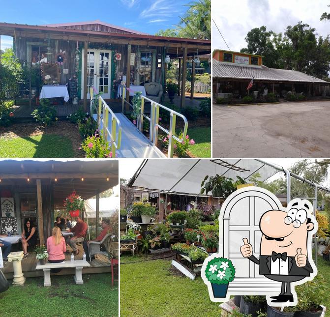 Whistle Stop Gardens Tea Room in Lutz Restaurant menu and reviews