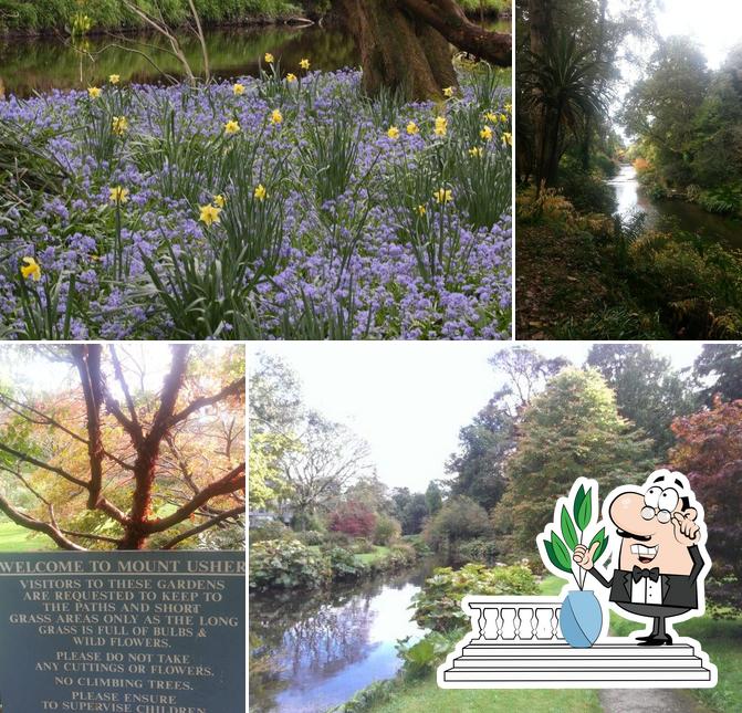 Mount Usher Gardens in Irlanda Restaurant menu and reviews