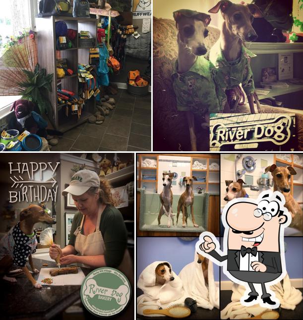 riverdog bakery