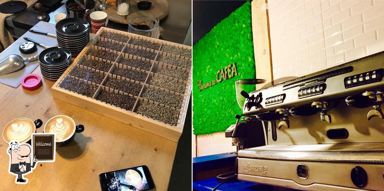 Camera cu Cafea