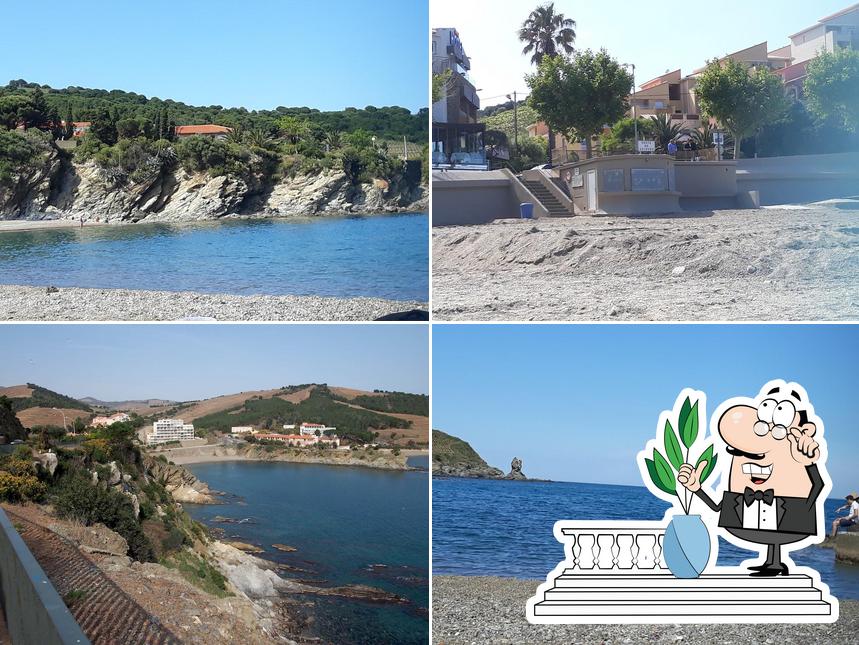 Profitez de la vue de l'espace ouvert de Snack de Plage Le Sun Elmes Banyuls sur Mer