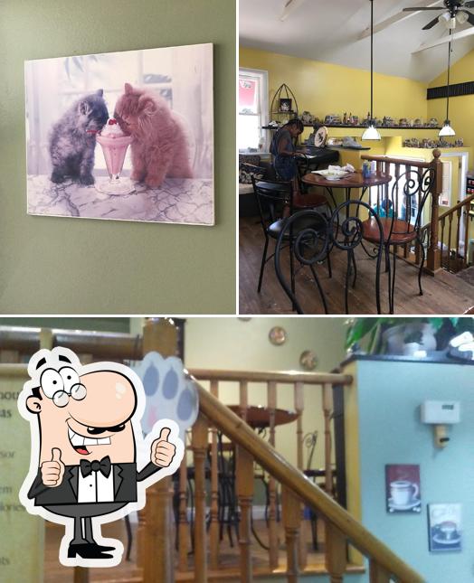 See the photo of It's The Cat's Meow Cafe