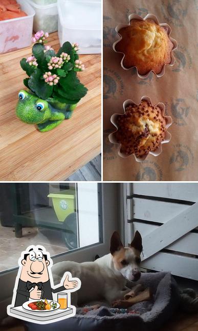 Frites Frog Achicourt