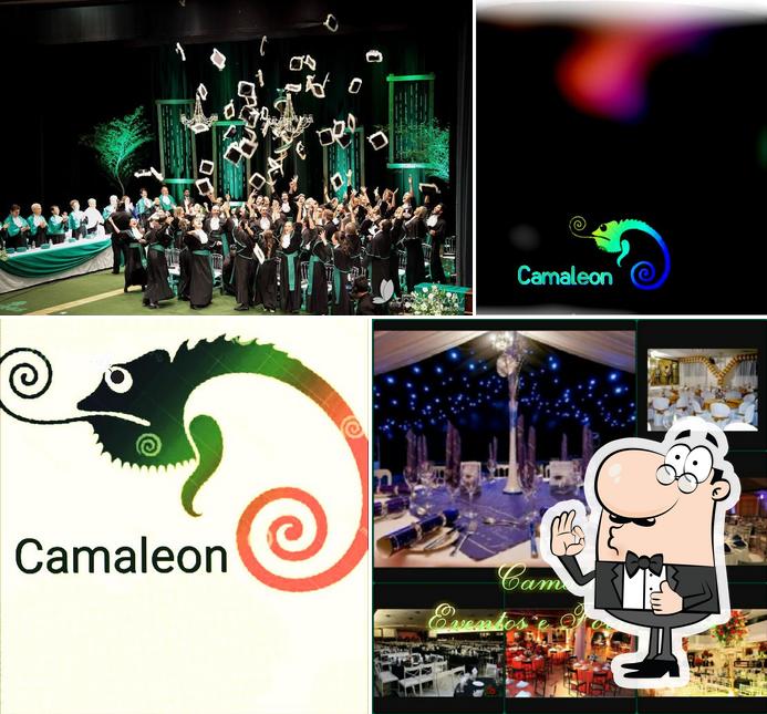 Camaleon Eventos e Formaturas