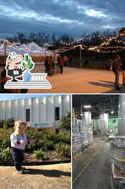 Check out how Terrapin Beer Co looks outside