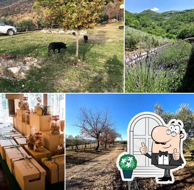 Agriturismo Le Cerqueta di Cristiano Ioannilli