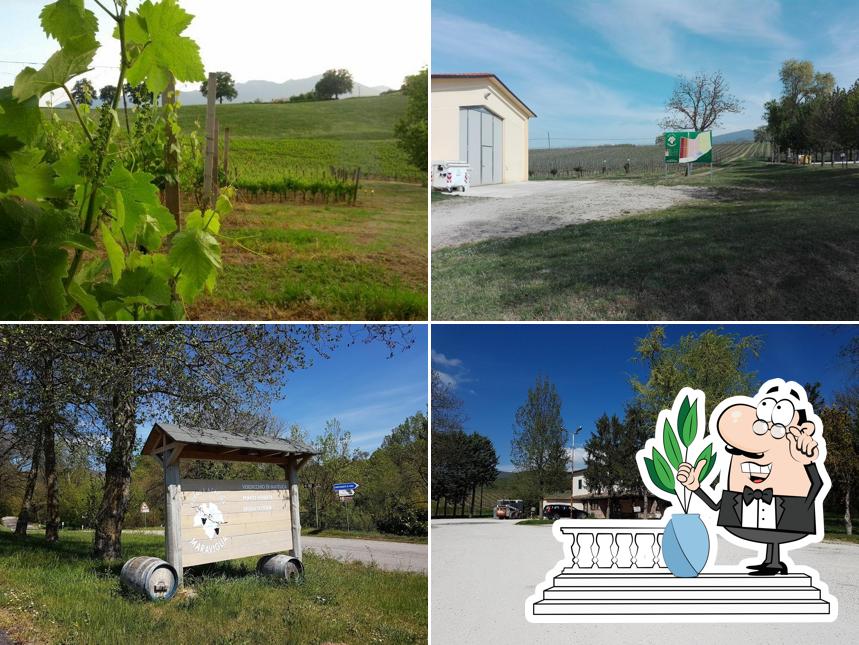 Gli esterni di Cantine agriturismo maraviglia