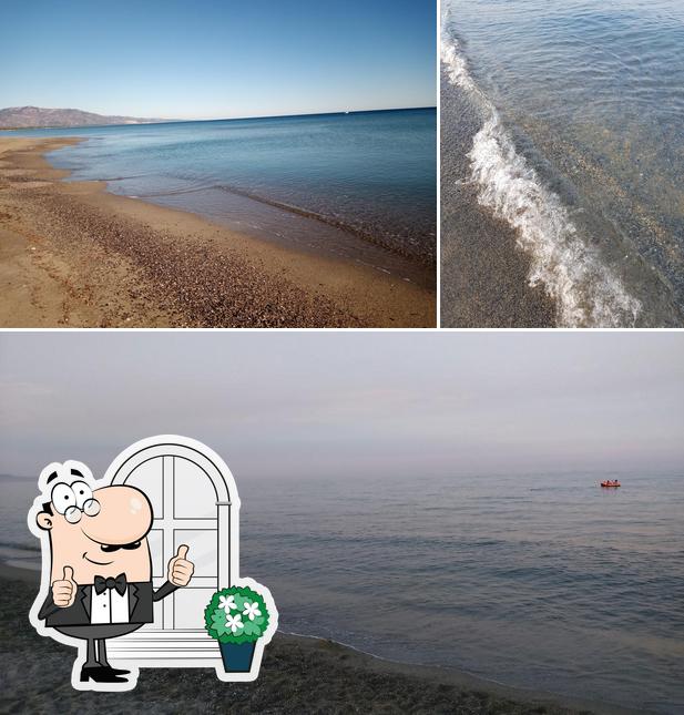 Guarda gli esterni di Lido Mille Pini