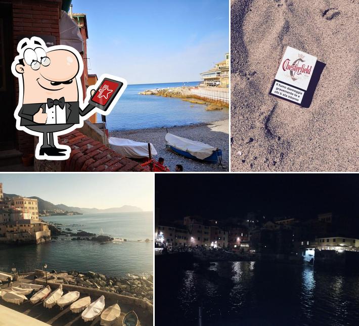 Guarda gli esterni di Bar Boccadasse