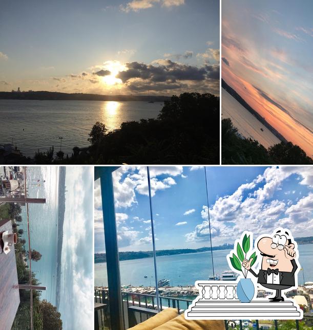 The Teras Cafe, Istanbul Restaurant reviews