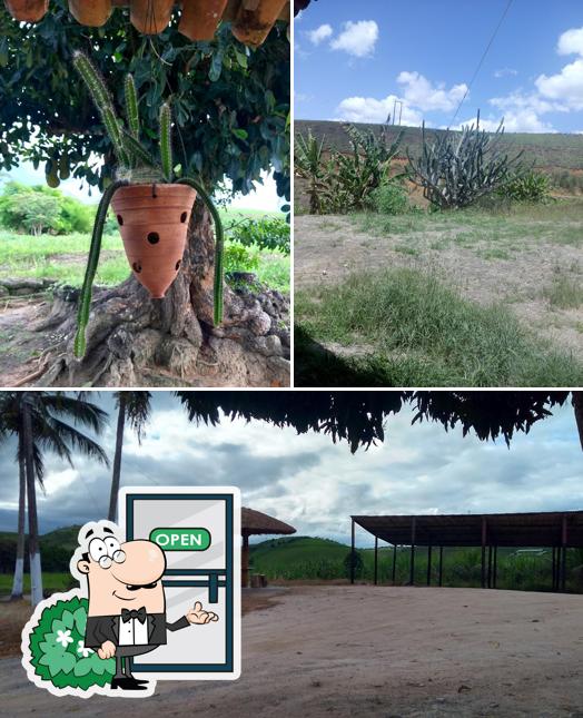 Desfrute da vista da área externa do Mandacaru Abacate Restaurante e Pousada