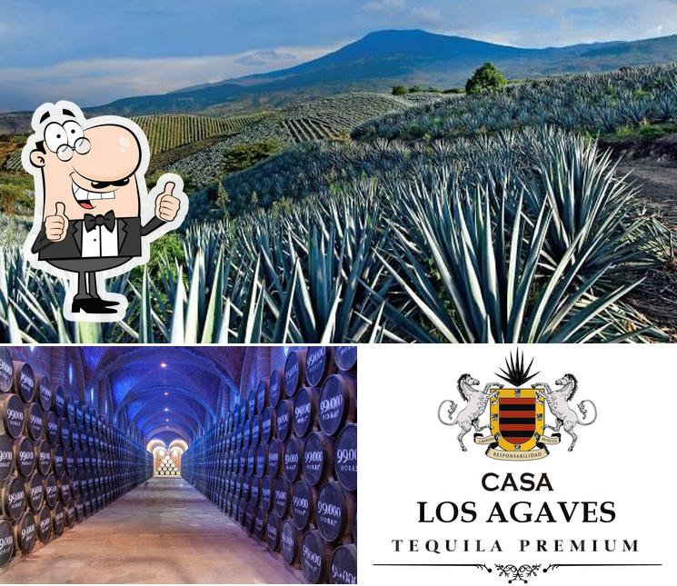 Pub y bar Tequilera casa los agaves, Tequila