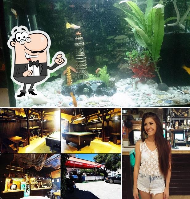 Guarda la foto che raffigura la interni e pesce di Caffe bar "Kum"