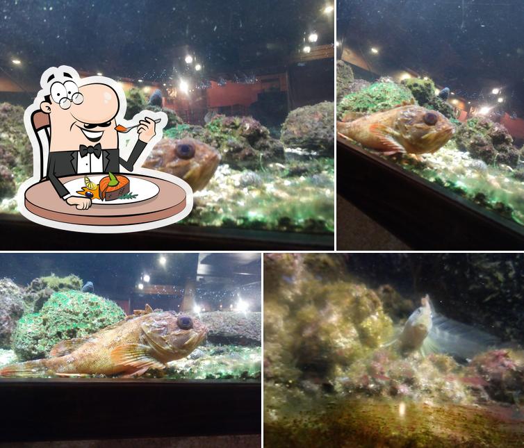 Pizzeria Velo Misto No. 1