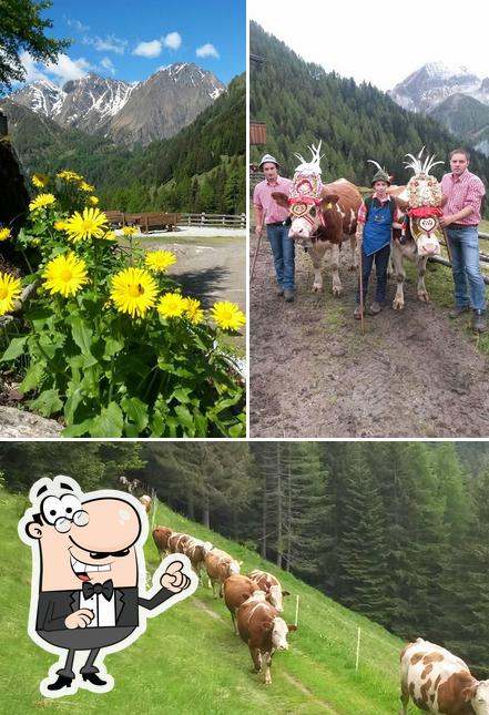 Gli esterni di Boden Alm