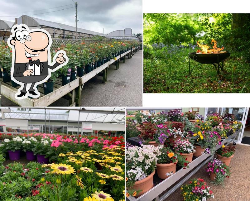 Polhill Garden Centre Ltd in Sevenoaks British restaurant menu and
