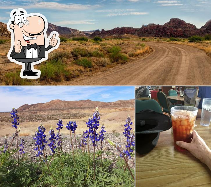 Big Bend Motor Inn Store and Restaurant in Study ButteTerlingua Restaurant menu and reviews
