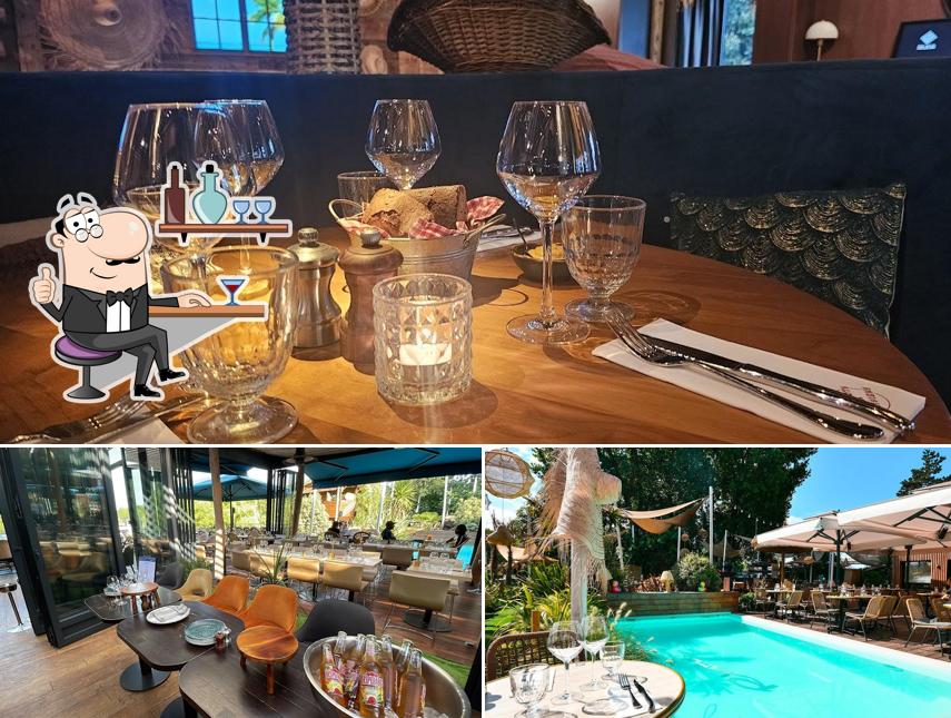 Bistrot Splash Avis