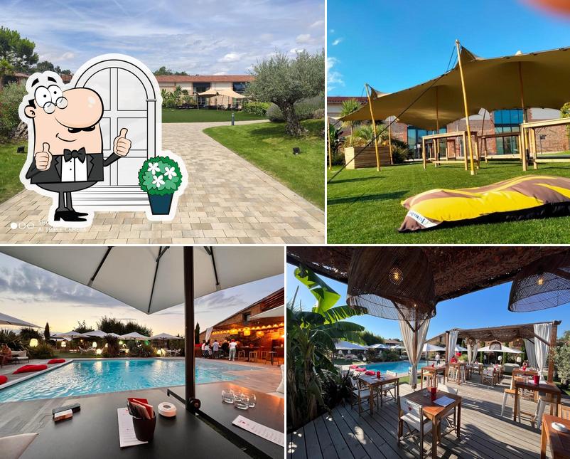 Coco les pieds dans l'eau restaurant, PlaisanceduTouch Critiques de