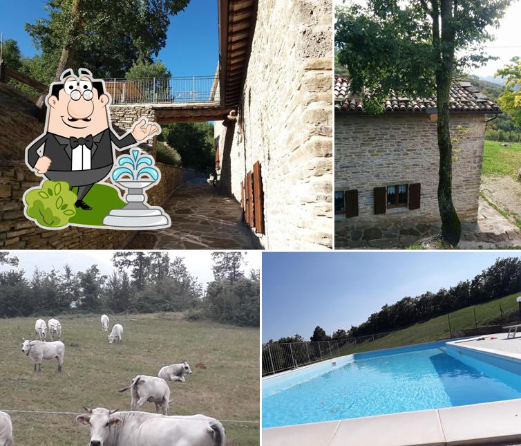 Il Casale del Barone