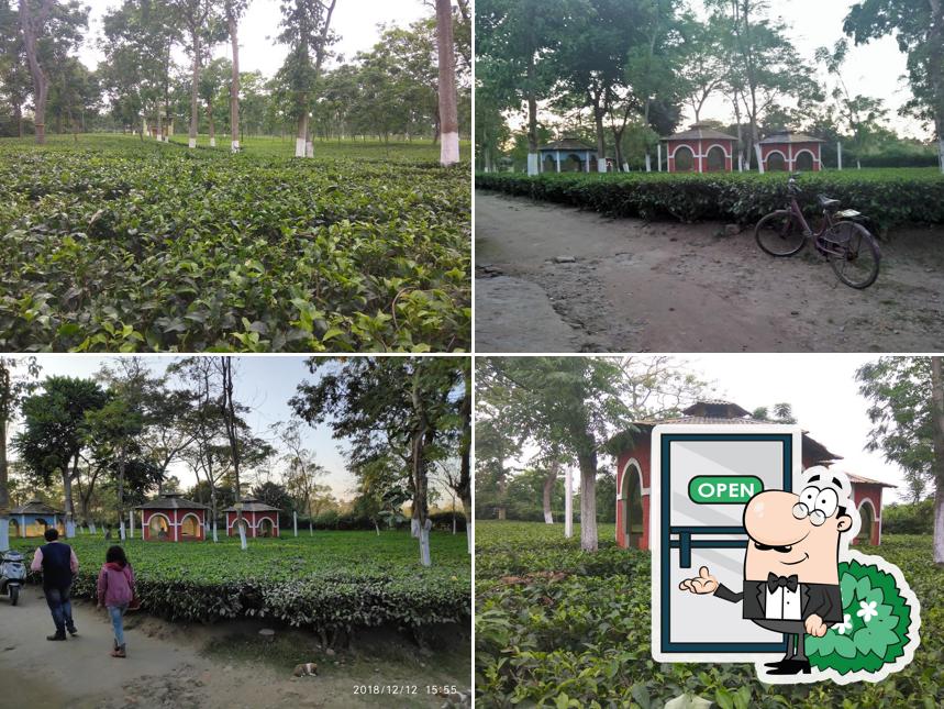 You can get some fresh air outside Green View Restaurant