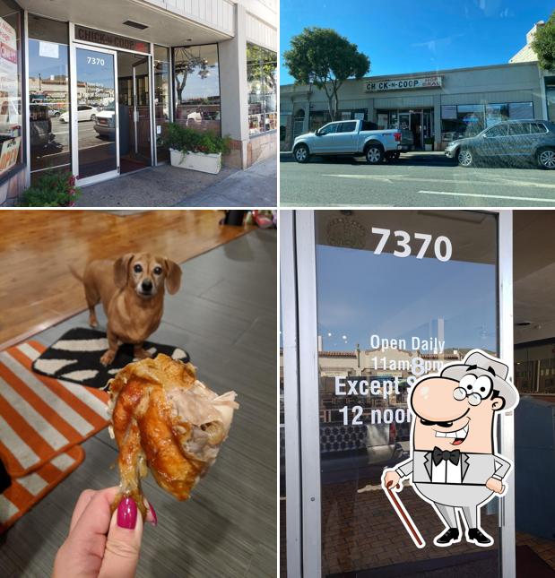 Chick N Coop in Daly City Restaurant menu and reviews