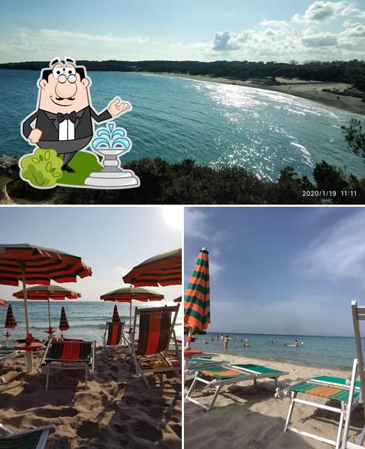 Guarda gli esterni di Lido L'Orsetta