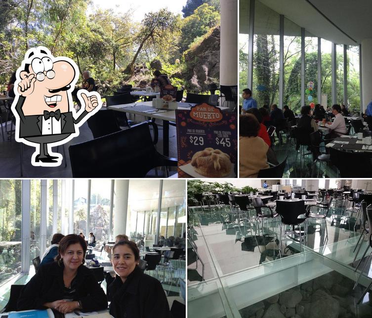 Cafetería MUAC, Ciudad de México - Opiniones del restaurante