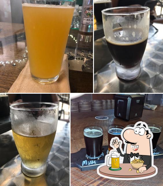 Soggy Bottom Brewing in Dunedin Restaurant reviews