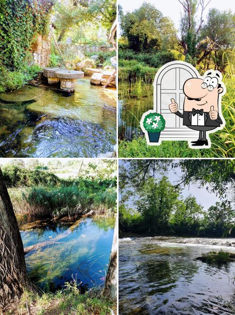 Découvrez l'extérieur de Čiko RESTORAN BAŠČINA