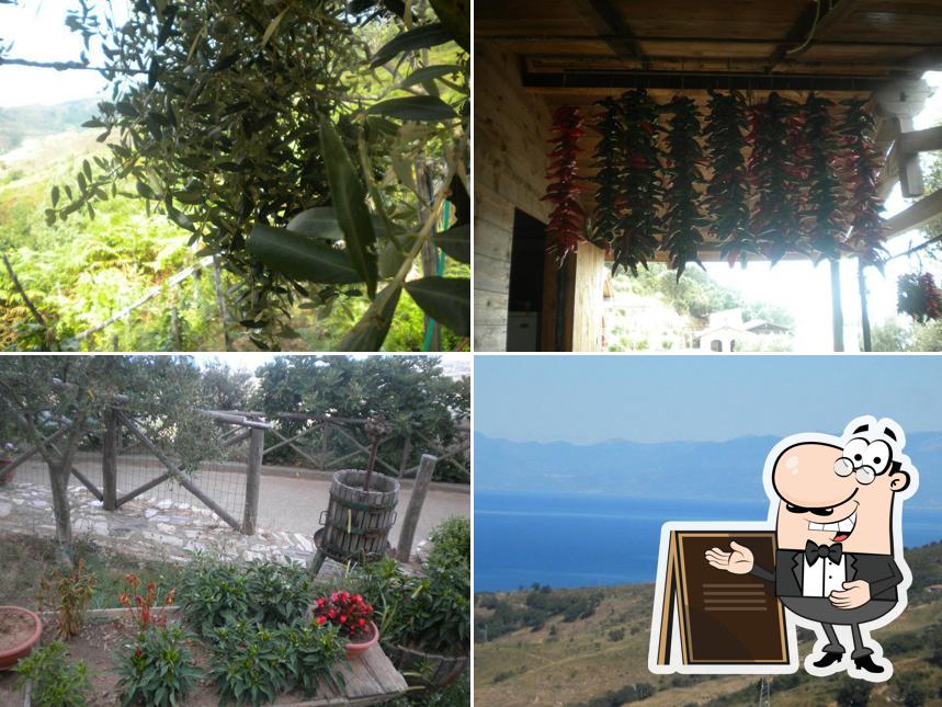 Azienda Agrituristica La Fonte