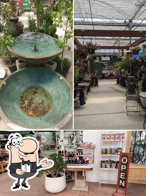 See the photo of Rodney’s Garden Café
