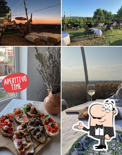 Il Vigneto Stellato