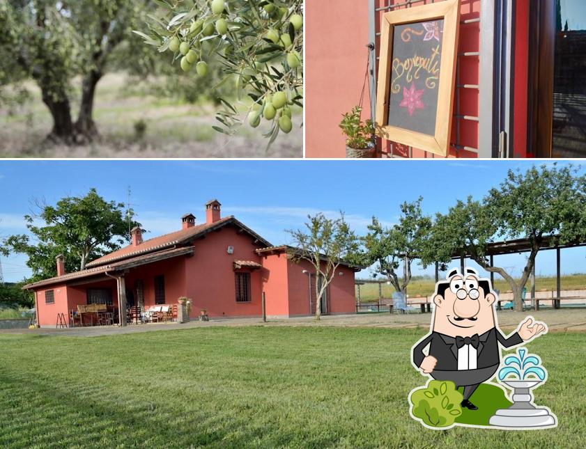 Gli esterni costituiscono una caratteristica importante di Agriturismo La Tarantola