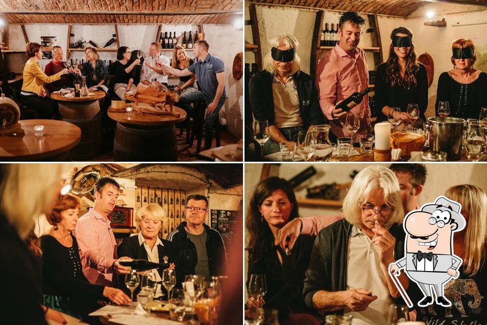 Guarda gli esterni di Wine Tasting Bled - Slovenian Wine